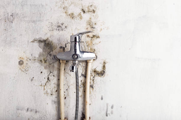 Best HVAC Mold Remediation in Hobart, IN