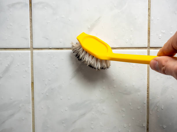 Best Insurance-Related Mold Remediation in Hobart, IN