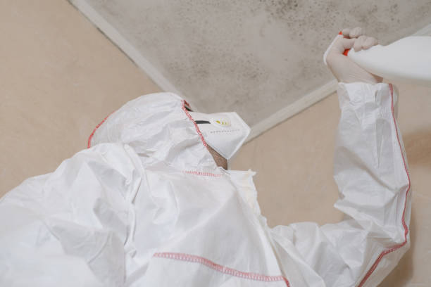 Best Crawl Space Mold Remediation in Hobart, IN