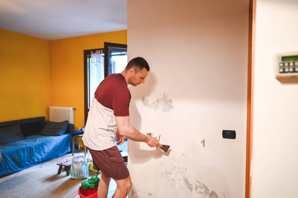 Best Mold Remediation for Specific Building Types in Hobart, IN